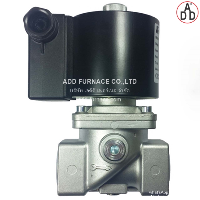 Elektrogas Model VMR3-2.L Rp1 (5)